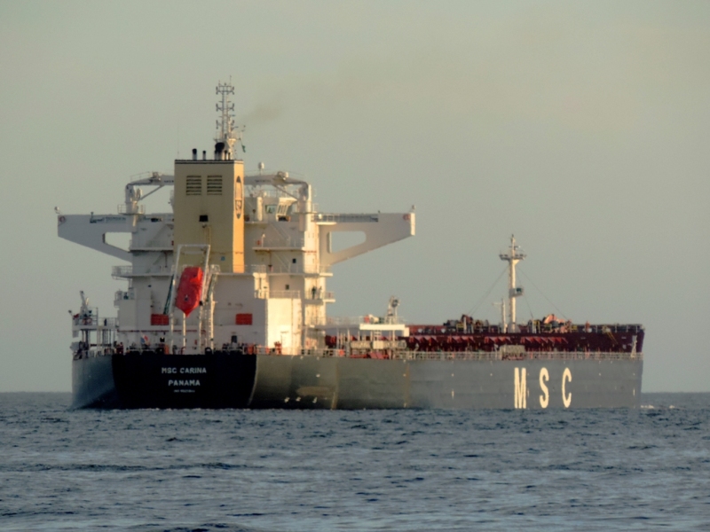 MSC CARINA