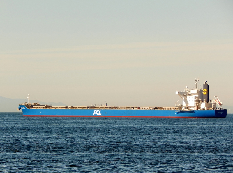 QIAN NIU STAR Dry Bulk Post Panamax