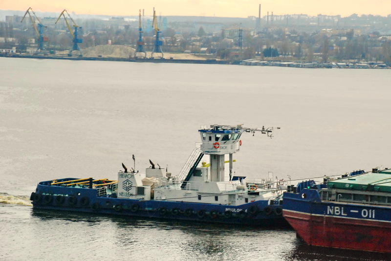 NIBULON-4