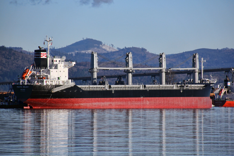 PACIFIC MELODY
