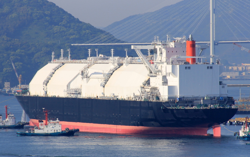 LNG VENUS