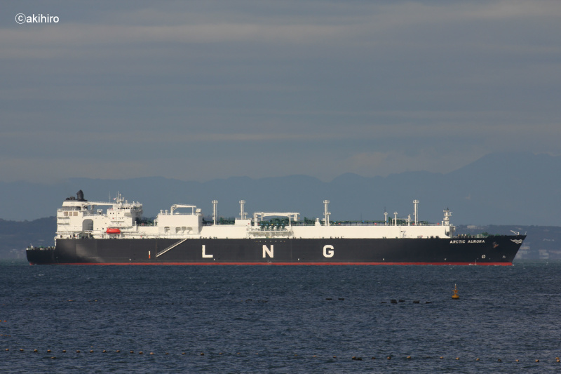 ARCTIC AURORA