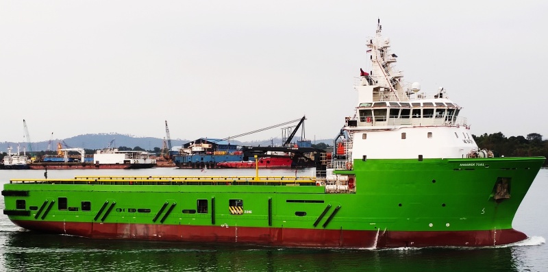 KAZO ANGGREK 7501
