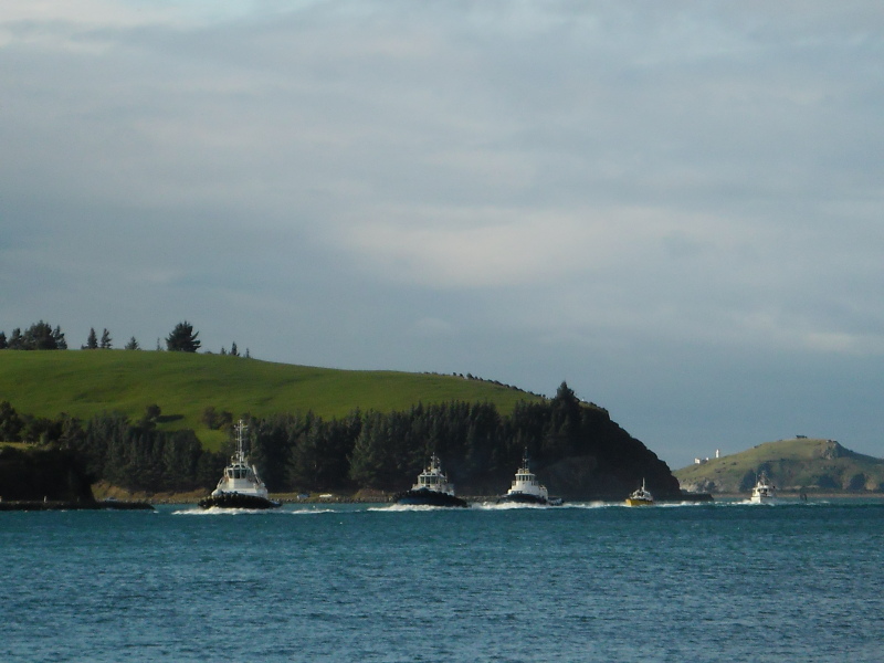 Image of TAIAROA