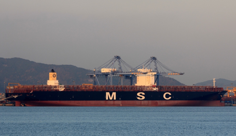 Image of MSC HAMBURG