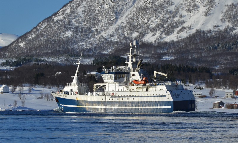 Image of VESTLINER