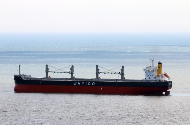 VOSCO JUBILANT