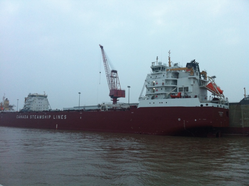 Image of CSL WELLAND