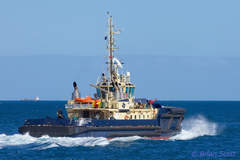 SVITZER BOODIE