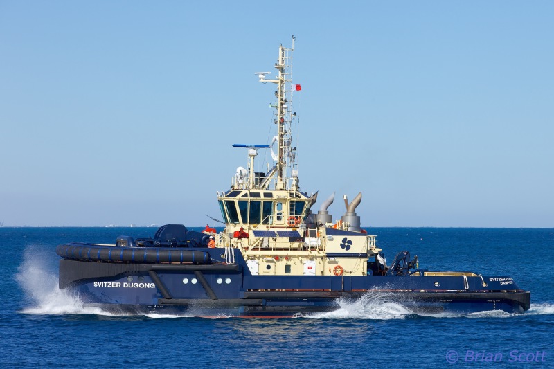 Image of SVITZER DUGONG