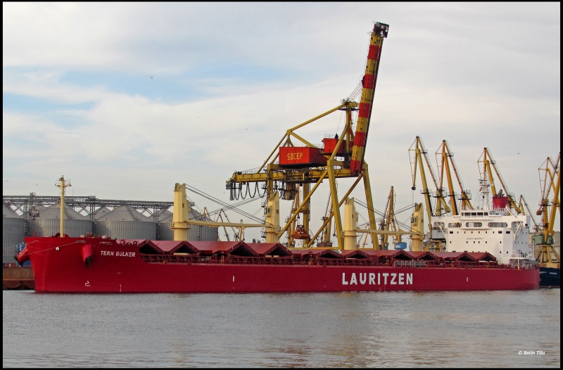 Image of TERN BULKER