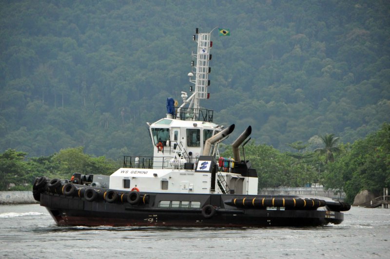 WS GEMINI