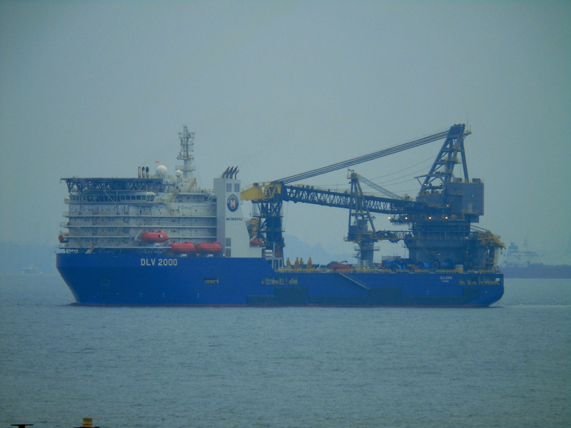 DLV2000