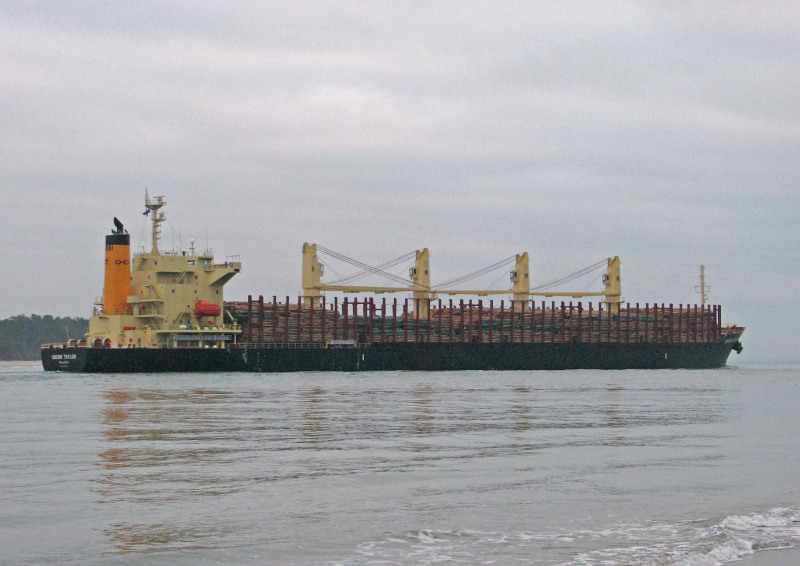 UNION TAYLOR