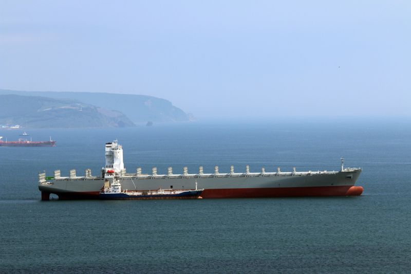 Image of MSC SOFIA PAZ