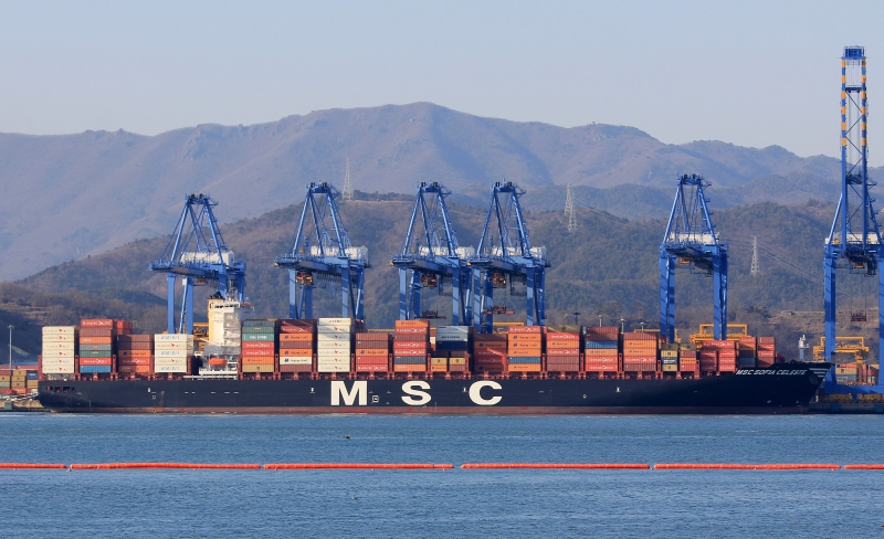 MSC SOFIA CELESTE