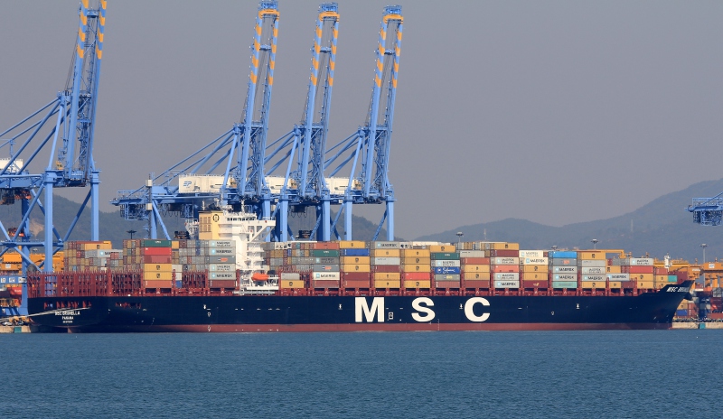 Image of MSC BRUNELLA