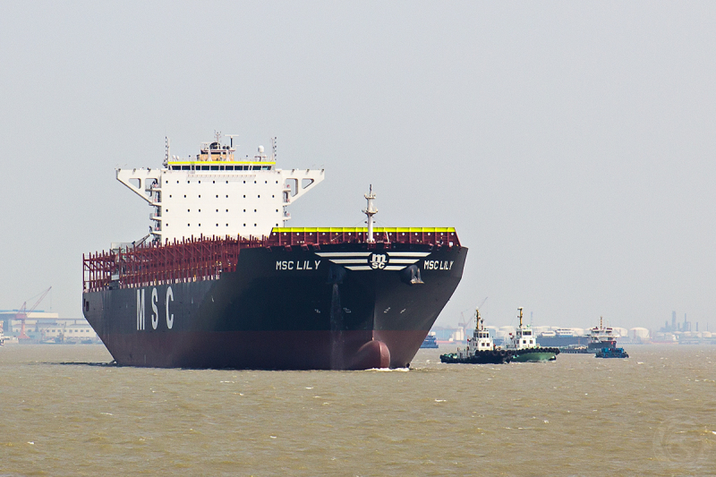 MSC LILY