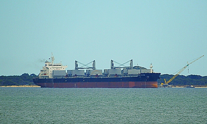 XI HU