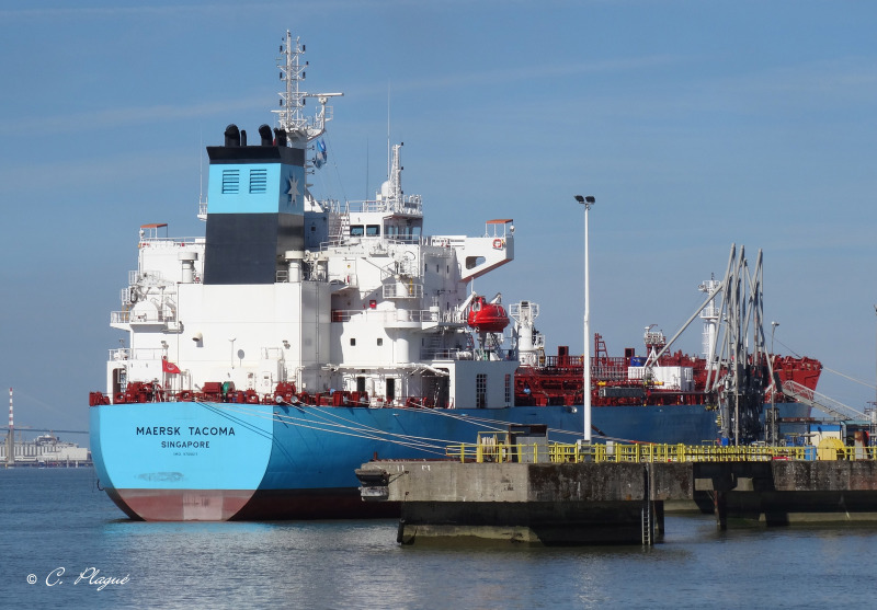 MAERSK TRIESTE