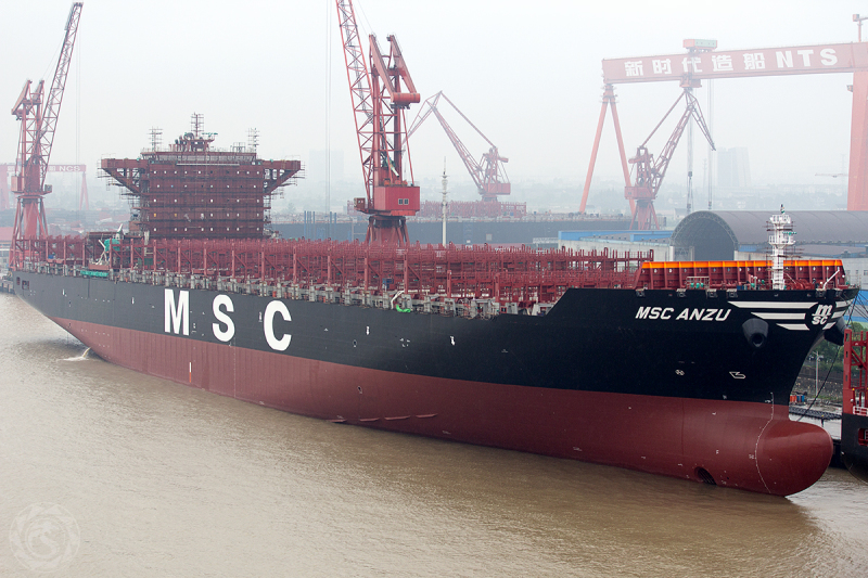 Image of MSC ANZU