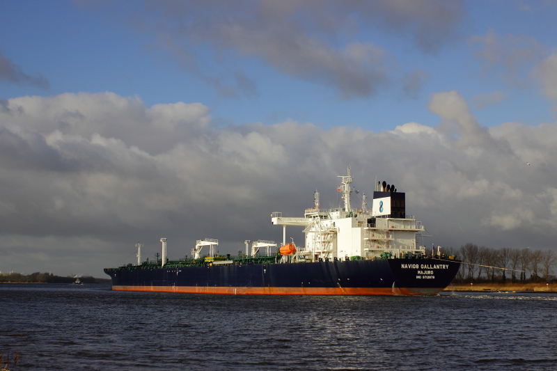 TORM HEDWIG