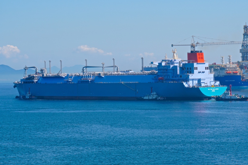 BAUHINIA SPIRIT