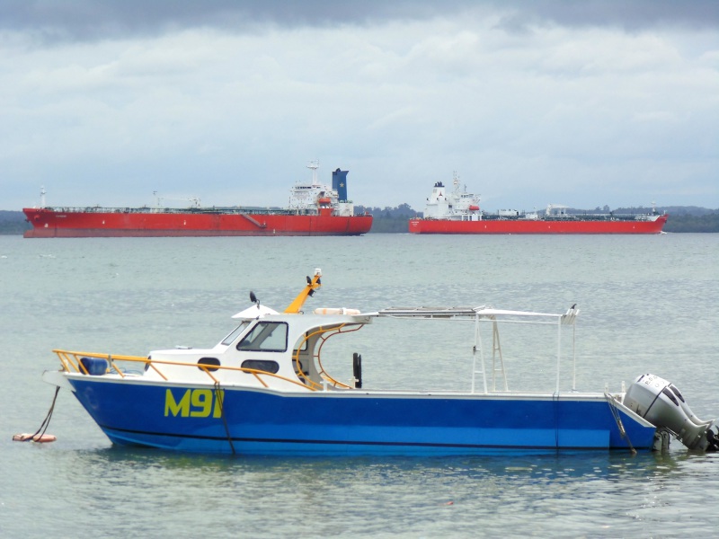 SILVER MANOORA