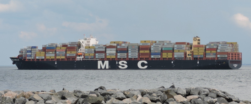 Image of MSC GISELLE