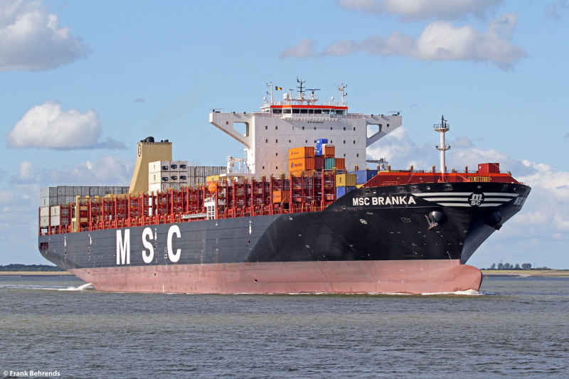 Image of MSC BRANKA