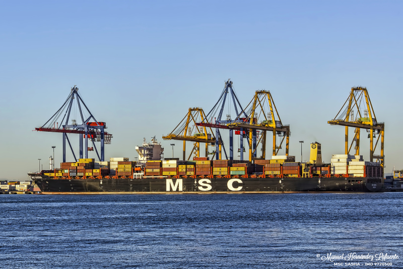 MSC SASHA