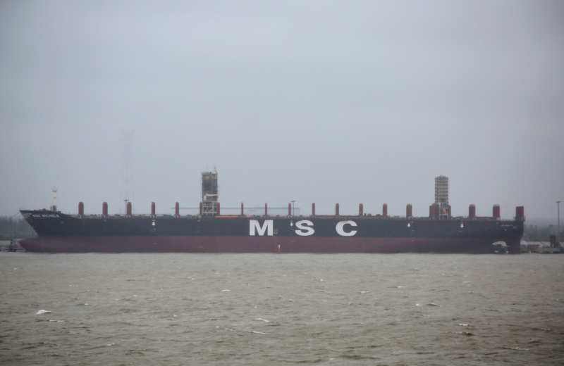 MSC MICHELA