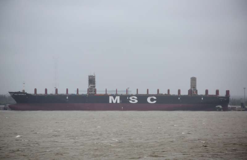 Image of MSC MICHELA