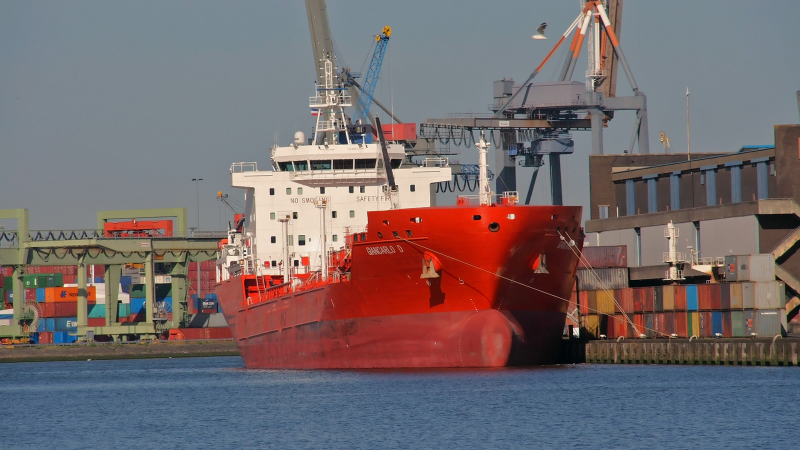 TRISTAR NATASHA