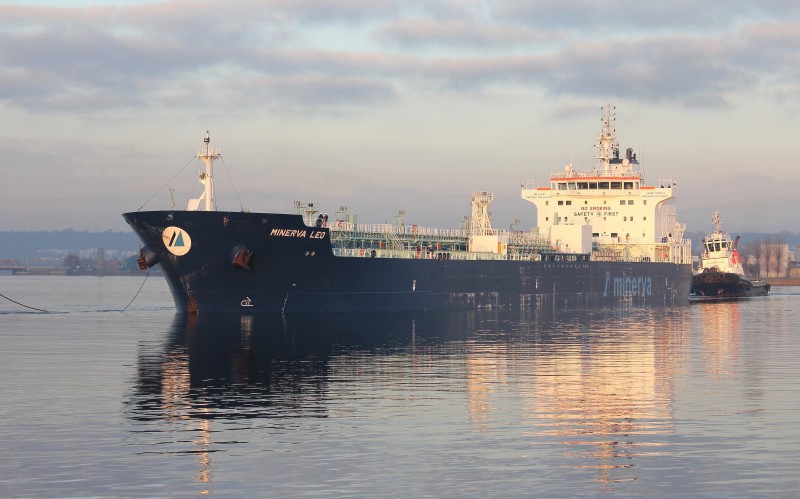MINERVA LEO