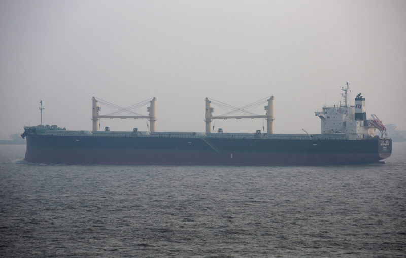 TAI SPLENDOR