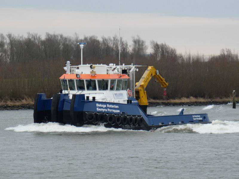 BELUGA ROTTERDAM