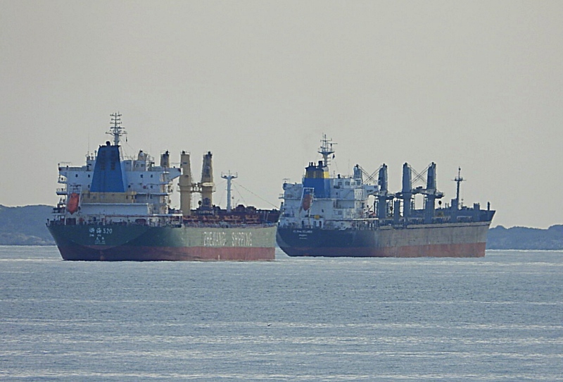 ZHE HAI 520