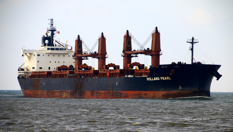 HOLLAND PEARL