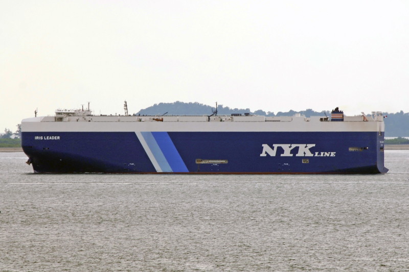 IRIS LEADER