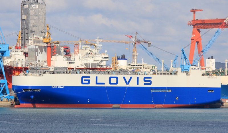 GLOVIS STELLA