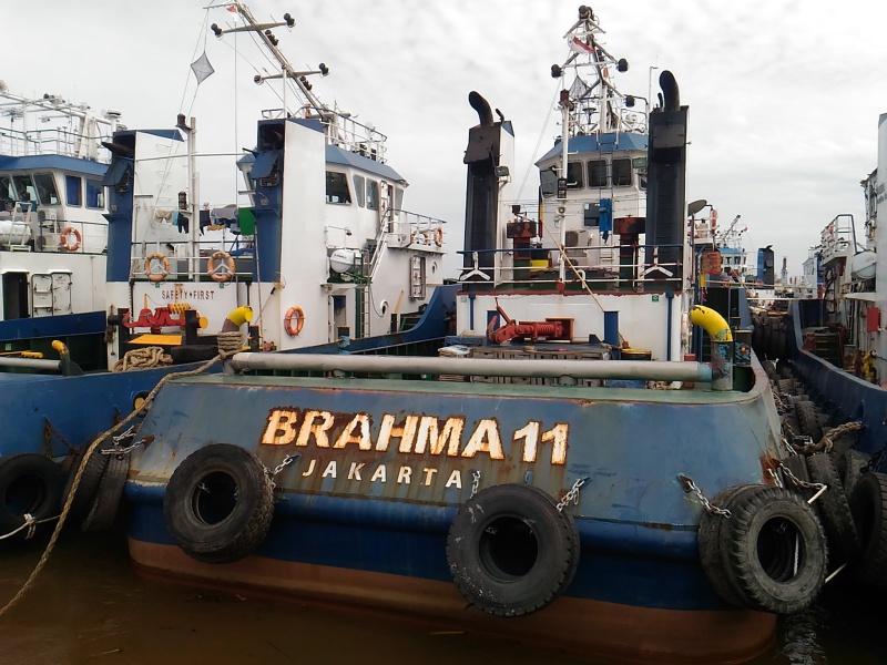 TB.BRAHMA 11
