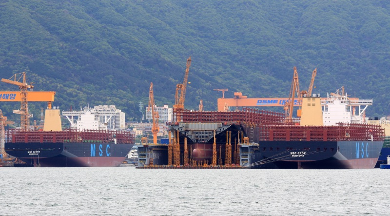 MSC DITTE