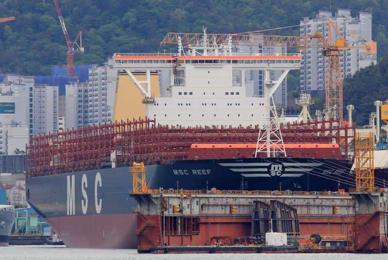 MSC REEF
