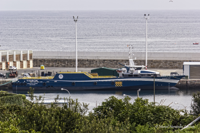 Image of BLUE SWIFT