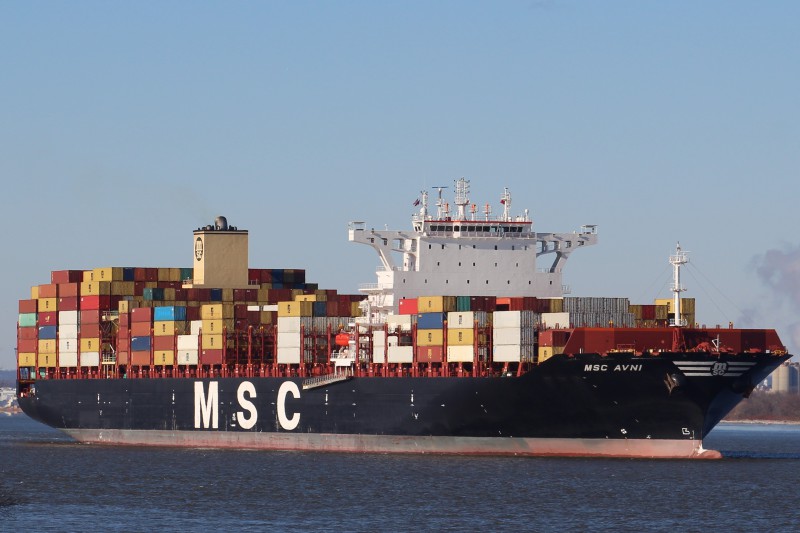 Image of MSC AVNI