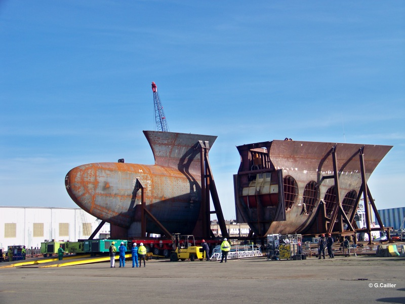 Image of MSC BELLISSIMA