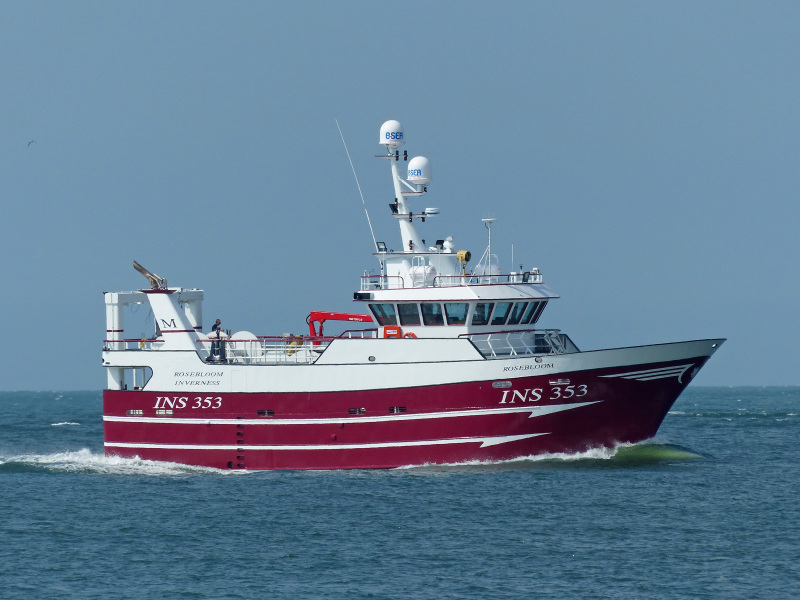 ROSEBLOOM INS353
