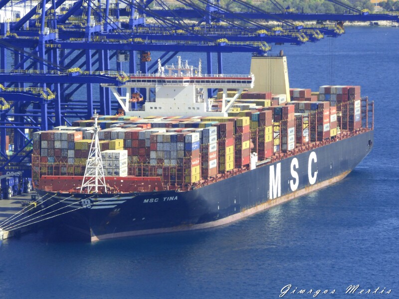 Image of MSC TINA