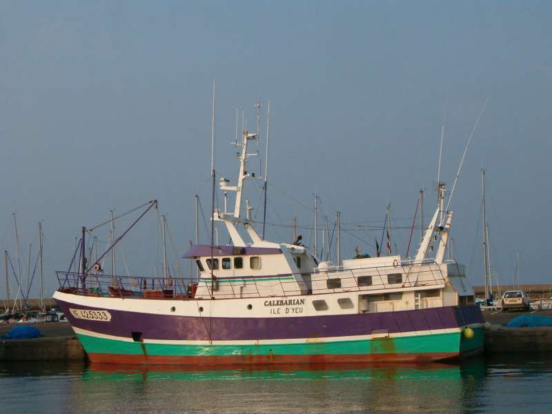 F/V CALEBARIAN